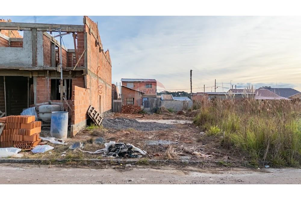 Terreno - Venda - Fazenda Rio Grande , Paraná - DJI_20250613170104_0131_D.jpg - 560341061-228