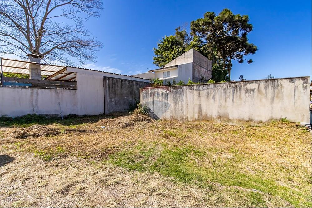 Terreno - Venda - Curitiba , Paraná - IMG_7341.jpg - 560341040-21