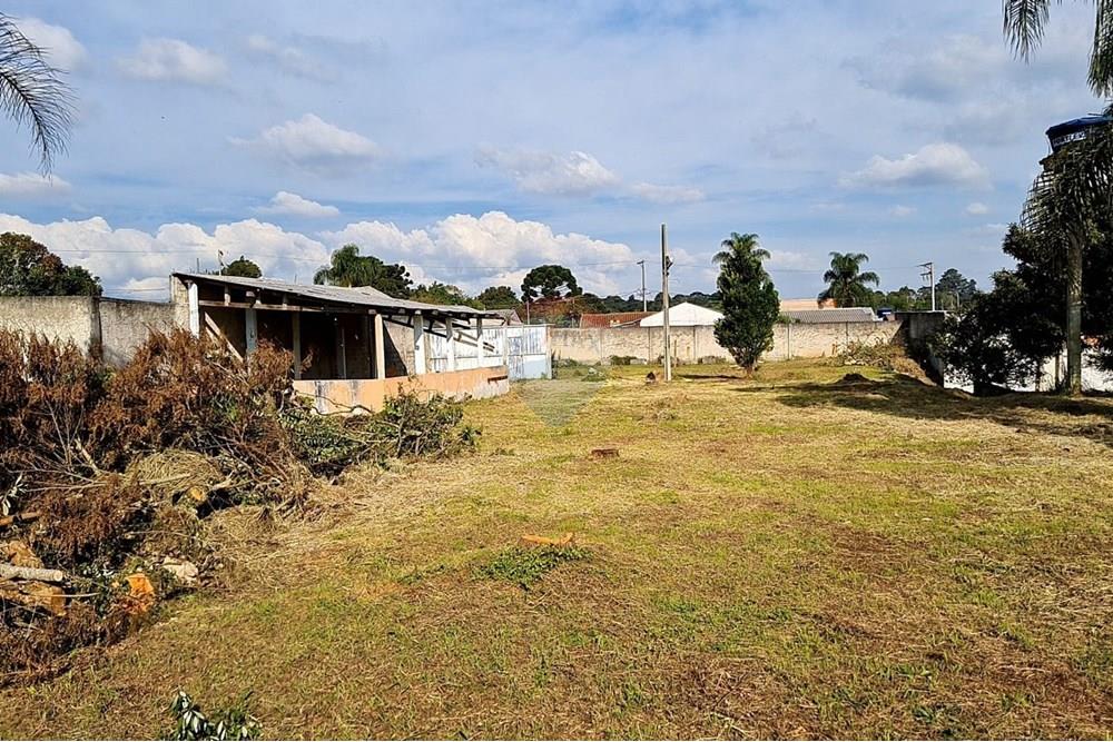 Terreno - Venda - São José dos Pinhais , Paraná - 2cb33cbf-b701-4b3d-91c1-3b6652a23f52.jpeg - 560391051-19