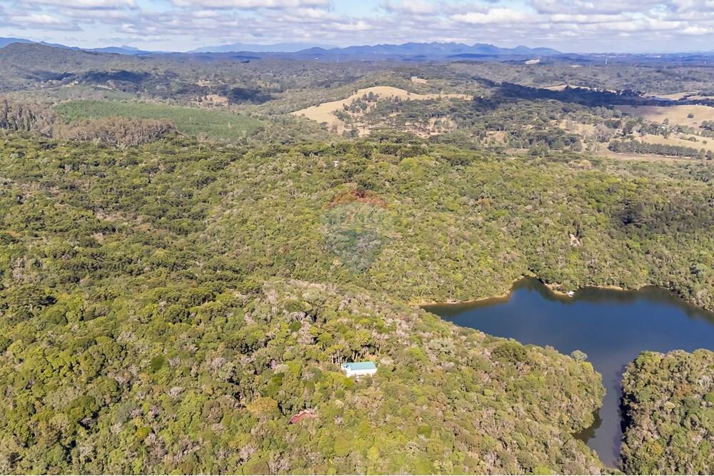 Chácara / Sítio / Fazenda - Venda - Piraquara , Paraná - DJI_0480_1.jpg - 560431012-39
