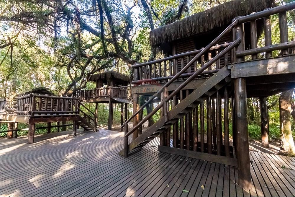 Apartamento - Venda - Curitiba , Paraná - ProfPedroVPdeSouza-77.jpg - 560311047-425