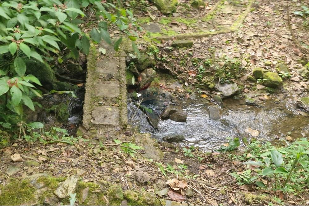 Chácara / Sítio / Fazenda - Venda - Guaratuba , Paraná - IMG-20251026-WA0031.jpg - 560321090-38