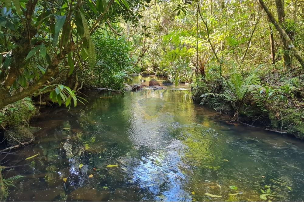 Chácara / Sítio / Fazenda - Venda - Tijucas do Sul , Paraná - 65dca7aa-d622-481b-b545-ca3b45fe1920.jpeg - 560391051-20