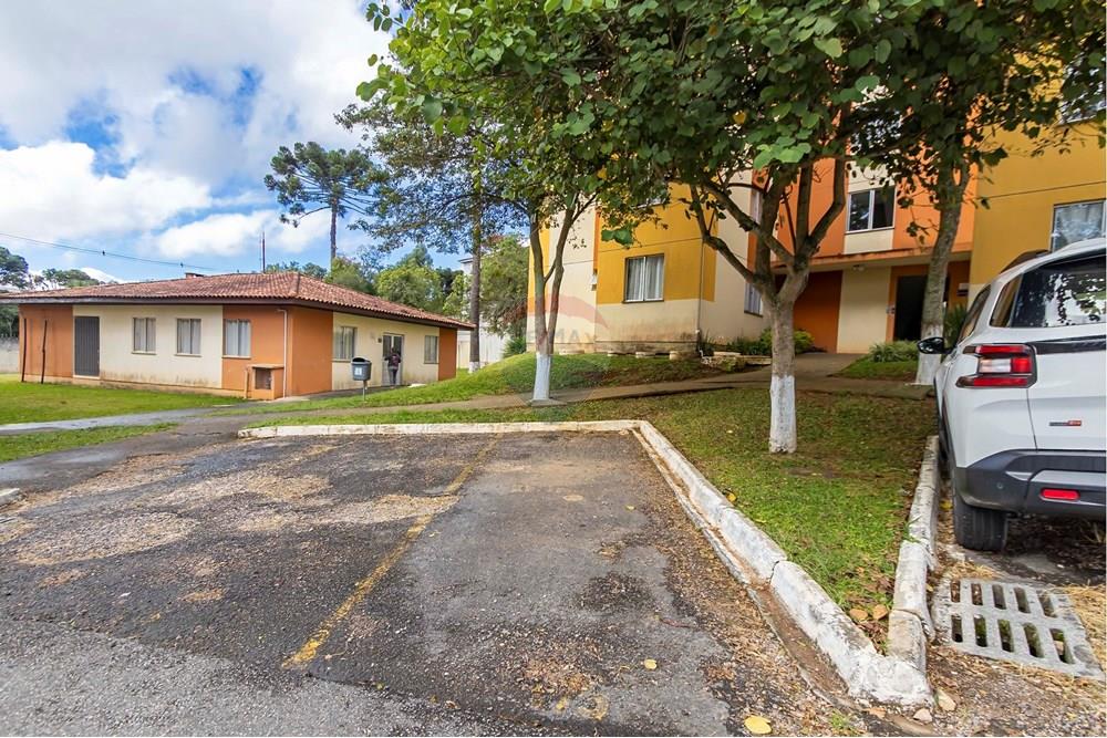 Apartamento - Venda - São José dos Pinhais , Paraná - IMG_7050_1.jpg - 560411055-18