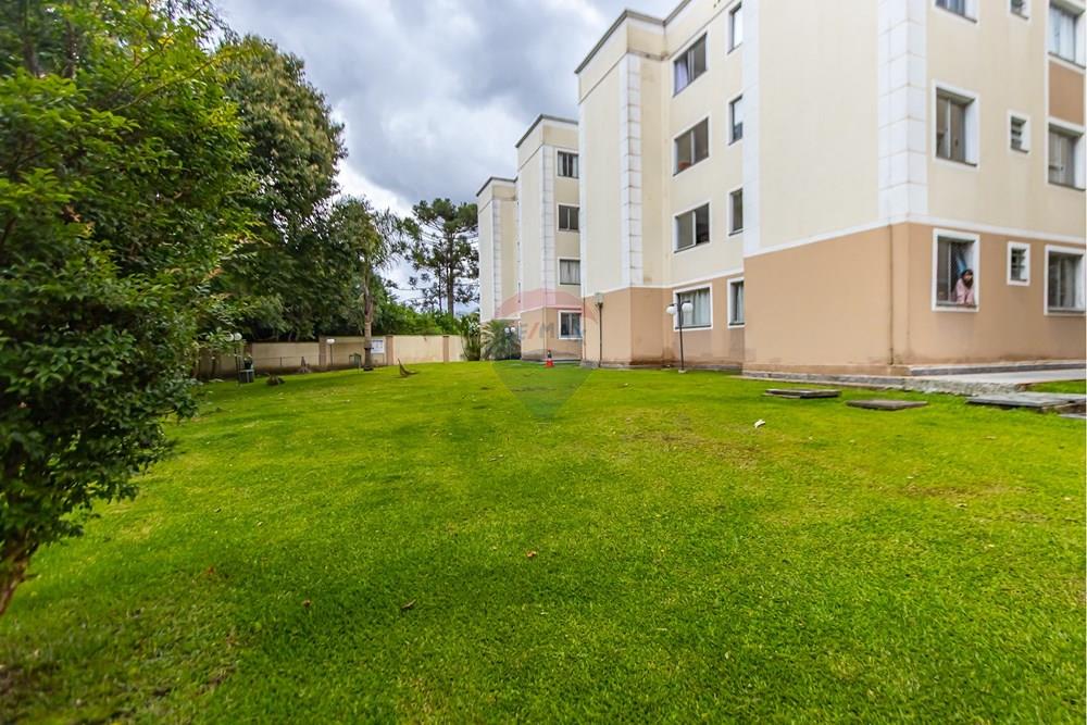 Apartamento - Venda - São José dos Pinhais , Paraná - Fotografia Sheep House - IMG_0247.jpg - 560481004-31