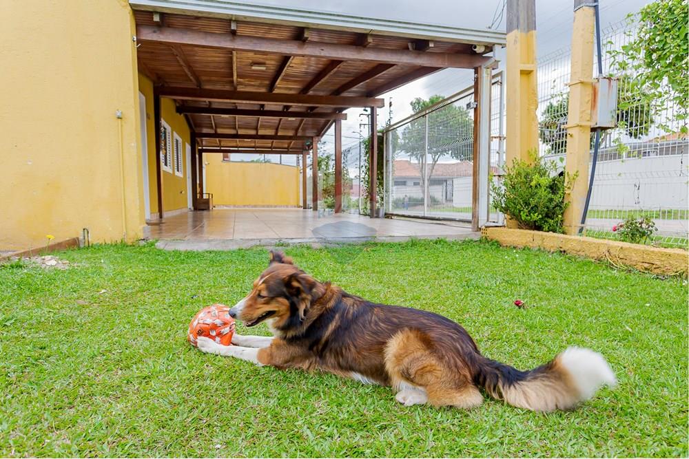 Casa - Venda - São José dos Pinhais , Paraná - 53.jpg - 560351069-38