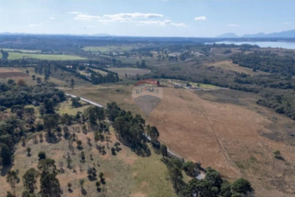 Terreno - Venda - Pinhais , Paraná - 4.jpg - 560511007-5