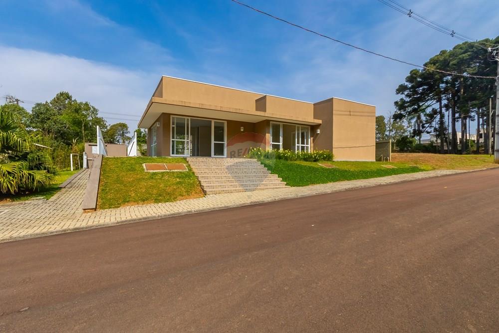 Terreno - Venda - Curitiba , Paraná - IMG_2518.JPG - 560341101-21