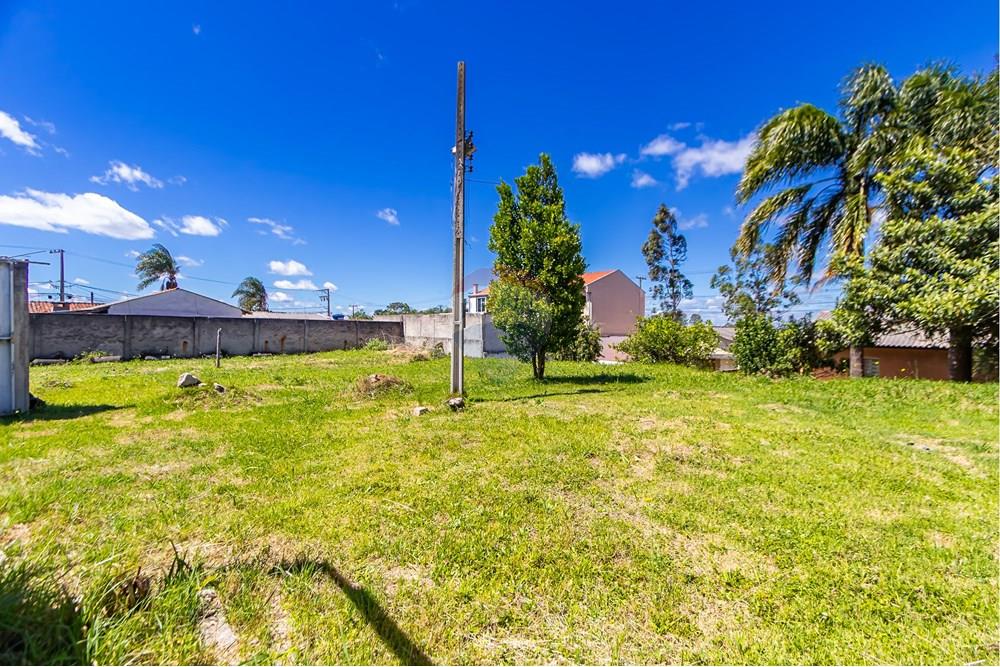 Terreno - Venda - São José dos Pinhais , Paraná - IMG_7257.JPG - 560391051-19