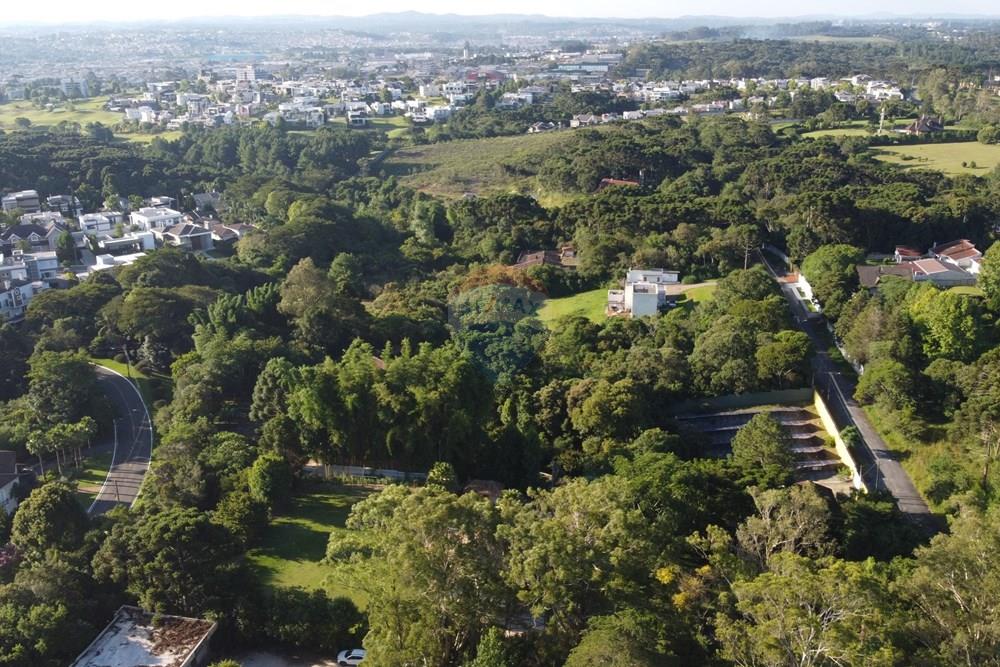 Terreno - Venda - Pinhais , Paraná - DJI_0212 - 1.JPG - 560501001-19