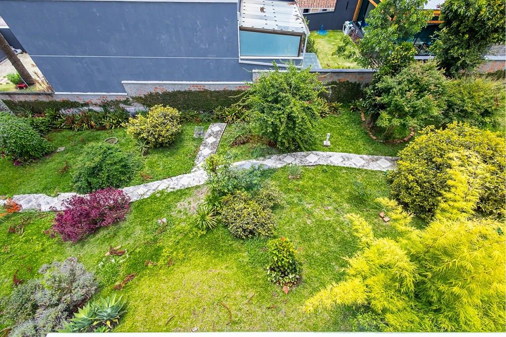 Sobrado - Alugar - Curitiba , Paraná - sheep - IMG_4405.jpg - 560351125-56