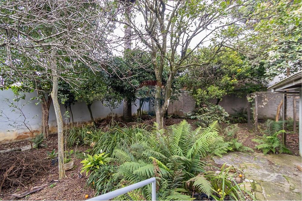 Terreno - Venda - Curitiba , Paraná - IMG_2224.jpg - 560311047-485