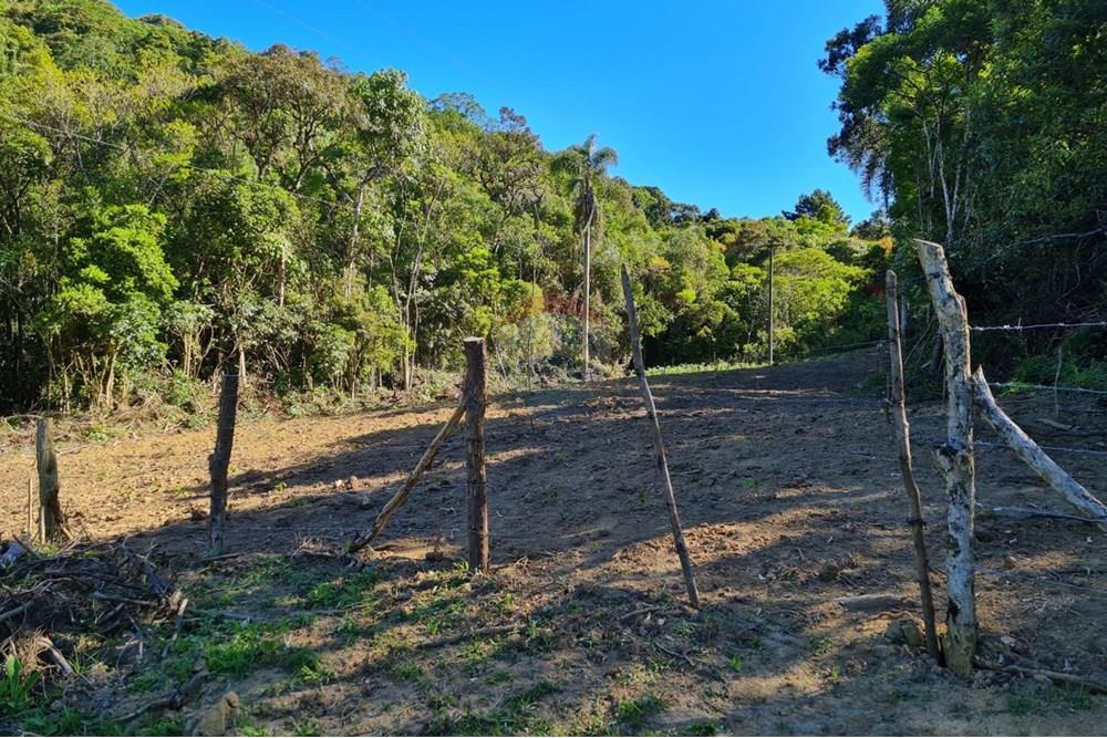 Chácara / Sítio / Fazenda - Venda - Tijucas do Sul , Paraná - 2aa307b9-163a-46af-8e0e-948f1cda4dd8.jpeg - 560391051-20