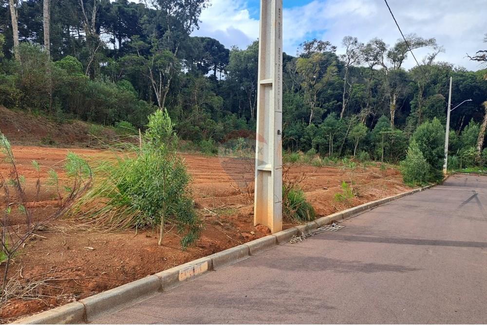 Terreno - Venda - Fazenda Rio Grande , Paraná - WhatsApp Image 2025-08-29 at 19.17.53.jpeg - 560441032-9