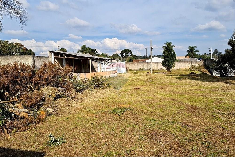 Terreno - Venda - São José dos Pinhais , Paraná - df875587-c010-4eb5-a61e-98fee9c391b9.jpeg - 560391051-19