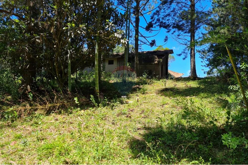 Chácara / Sítio / Fazenda - Venda - São José dos Pinhais , Paraná - 7b67eba1-8bb1-4462-b3fc-0386b484ed4c.jpeg - 560331128-24