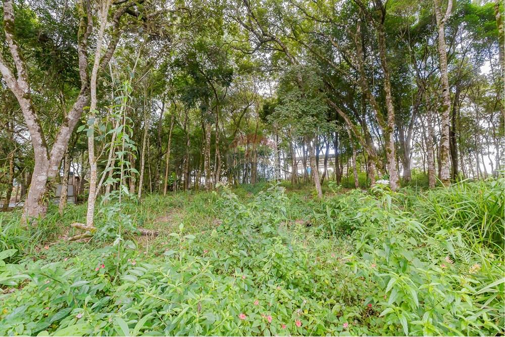 Terreno - Venda - Colombo , Paraná - _MG_7363.jpg - 560391062-13