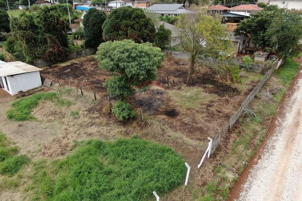 Terreno - Venda - Ponta Grossa , Paraná - 2.JPG - 560351178-5