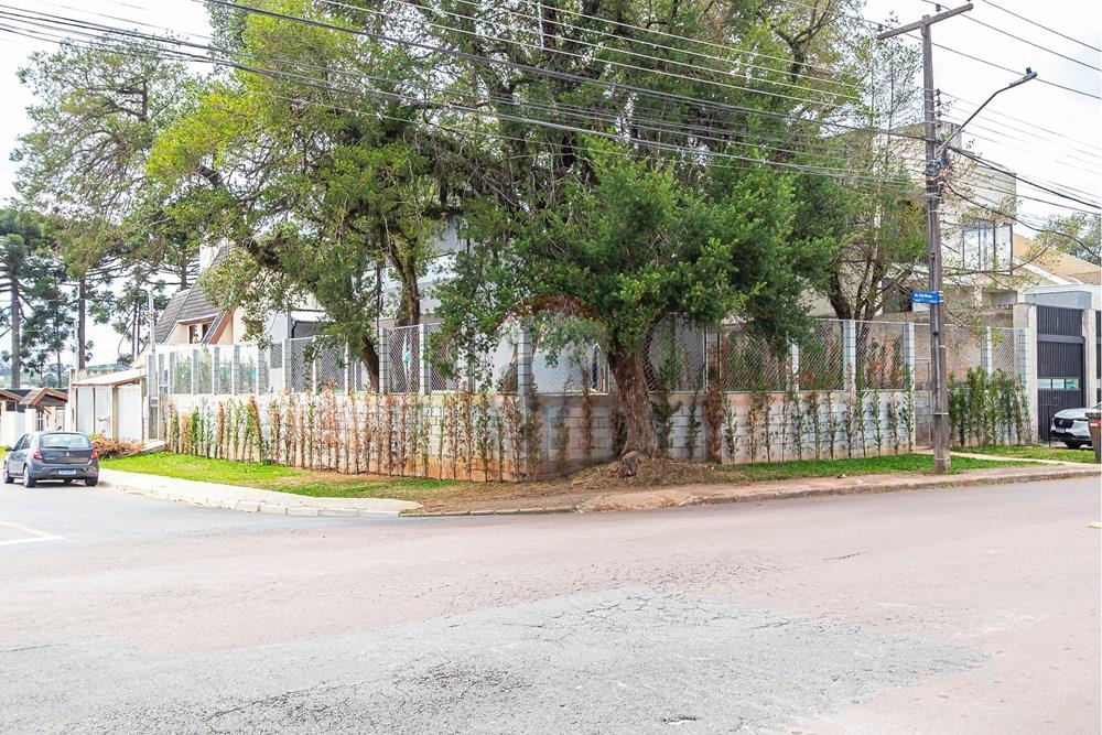 Casa Comercial - Alugar - Curitiba , Paraná - sheep - IMG_3792_1.jpg - 560311047-599