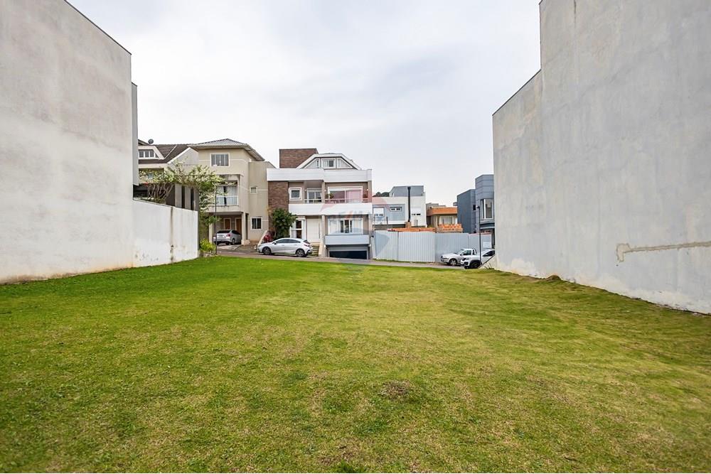 Terreno - Venda - Curitiba , Paraná - IMG_3229_1.jpg - 560341097-93