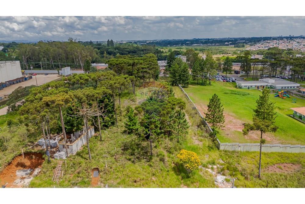 Terreno - Venda - São José dos Pinhais , Paraná - DJI_20250227133114_0571_D.jpg - 560351069-35