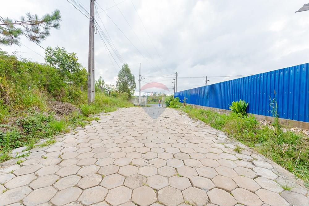 Terreno - Venda - Colombo , Paraná - _MG_7389.jpg - 560391062-13