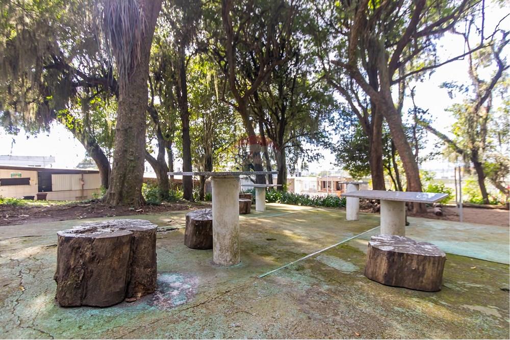 Apartamento - Venda - Curitiba , Paraná - IMG_7662.jpg - 560441028-9