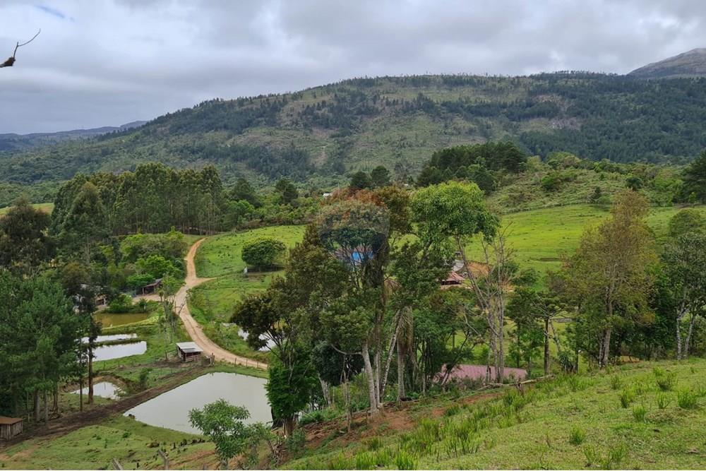 Chácara / Sítio / Fazenda - Venda - Tijucas do Sul , Paraná - e80679a0-a31b-4775-b8b6-627c26d0c343.jpeg - 560391051-16