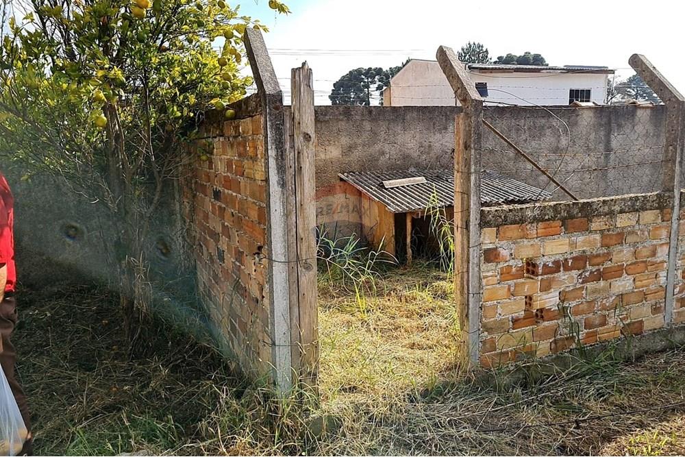 Terreno - Venda - São José dos Pinhais , Paraná - 19d0bfb0-ef65-46df-b018-7f3f757fa6b8.jpeg - 560391051-19