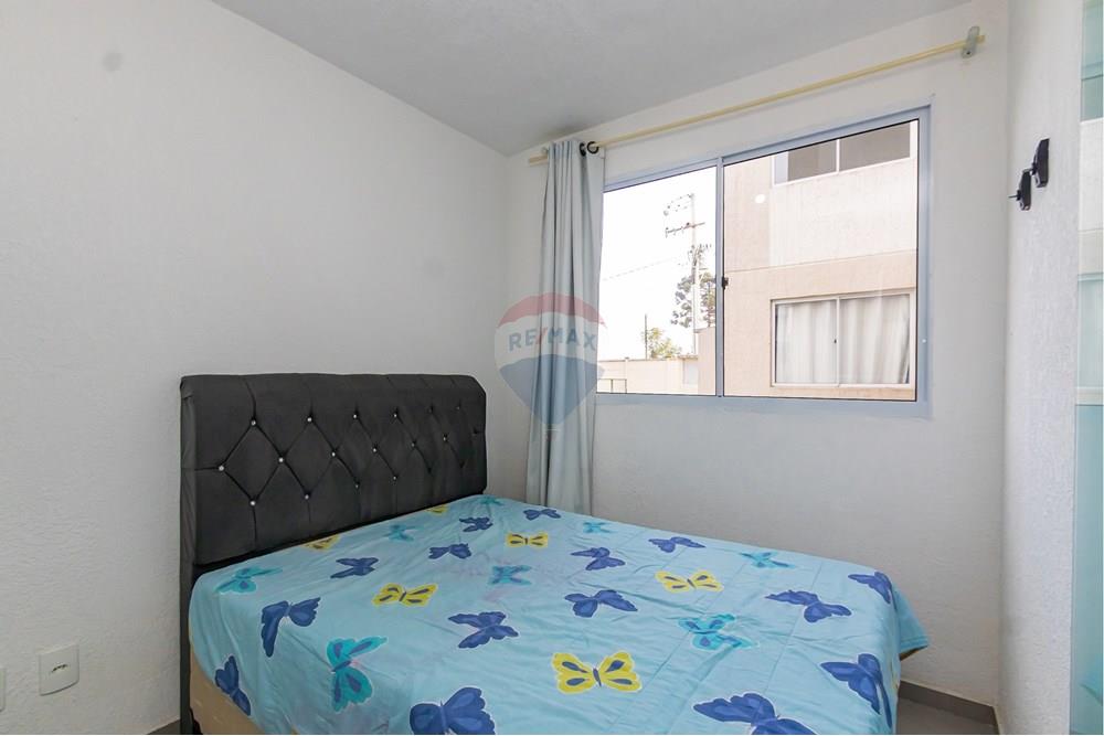 Apartamento - Alugar - São José dos Pinhais , Paraná - IMG_2245.jpg - 560251018-302