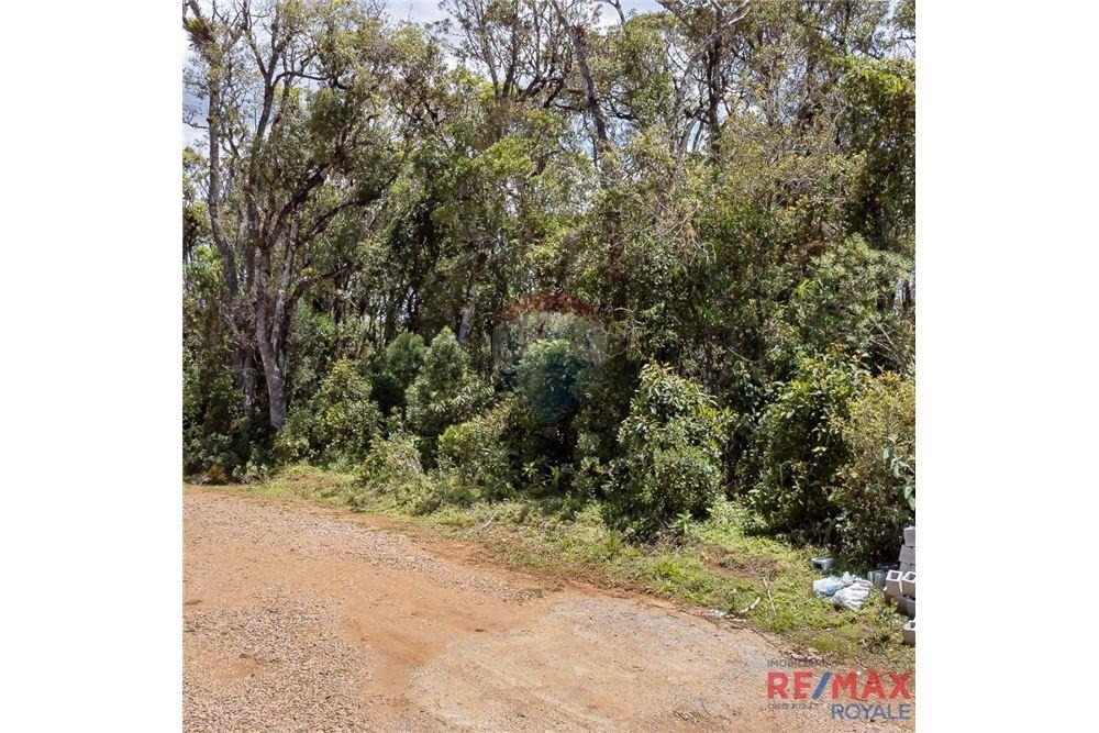 Terreno - Venda - São José dos Pinhais , Paraná - 15 - 560251029-43