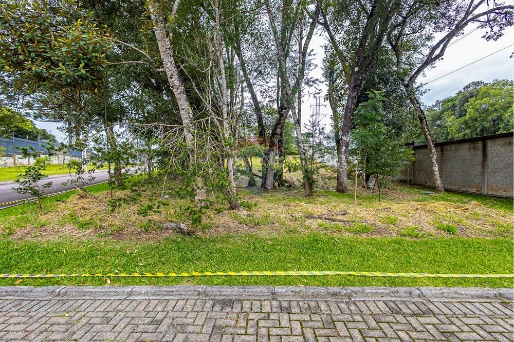 Terreno - Venda - Curitiba , Paraná - SHEEP - IMG_2550_1.jpg - 560341101-20