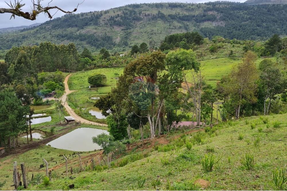 Chácara / Sítio / Fazenda - Venda - Tijucas do Sul , Paraná - 6f71e838-f2ca-4238-8099-9c9919b383a3.jpeg - 560391051-16