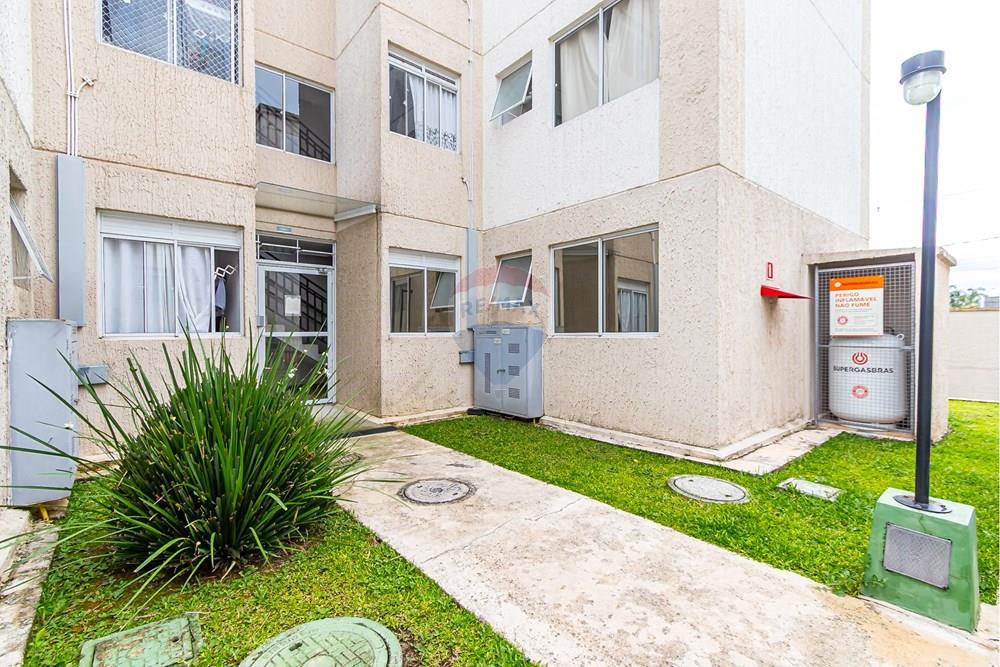 Apartamento - Venda - São José dos Pinhais , Paraná - Sheep - IMG_7240.jpg - 560411078-6