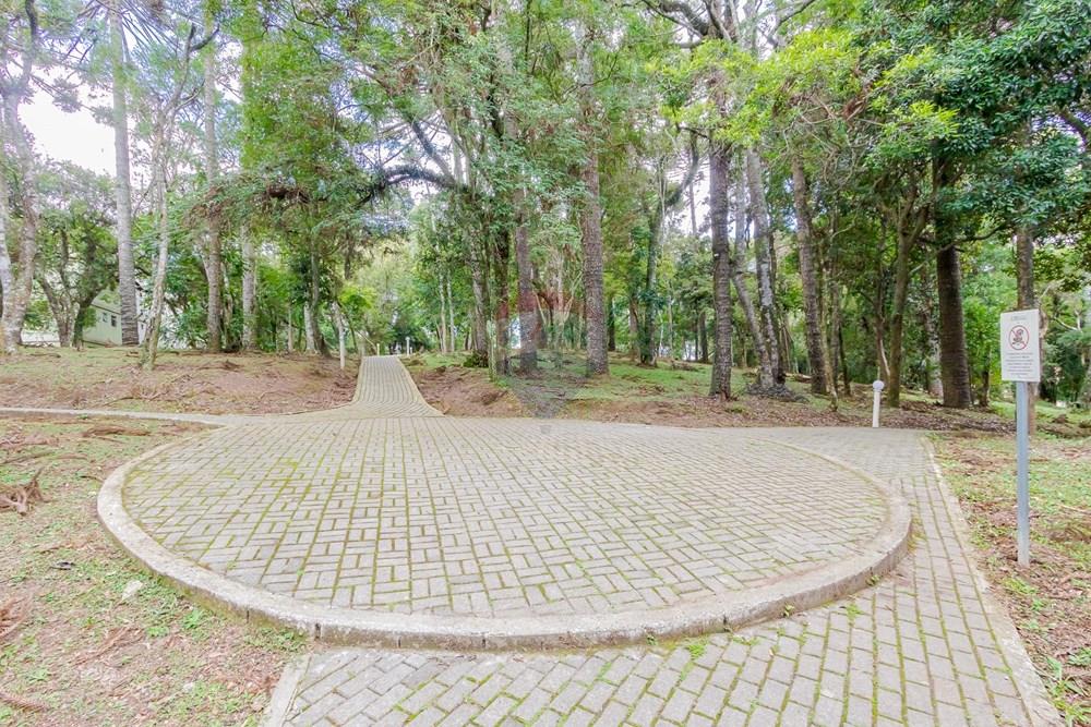 Apartamento - Venda - São José dos Pinhais , Paraná - 200.jpg - 560331133-38