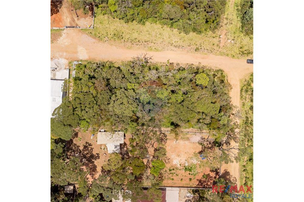 Terreno - Venda - São José dos Pinhais , Paraná - 23 - 560251029-43