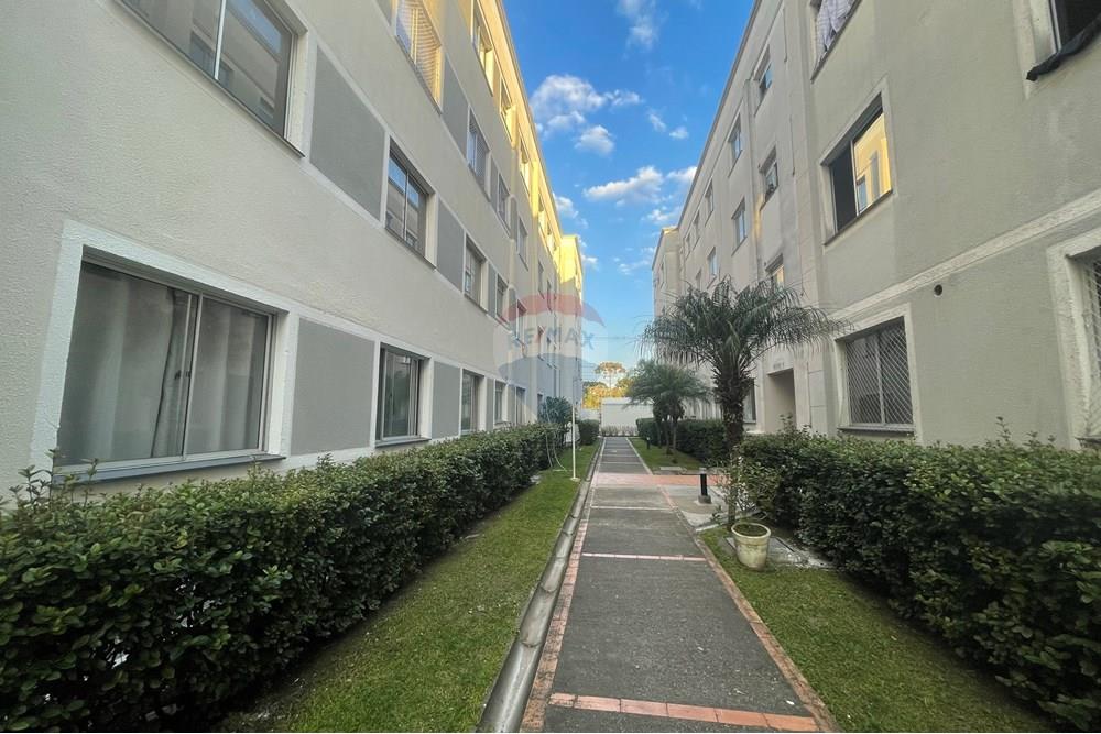 Apartamento - Venda - São José dos Pinhais , Paraná - IMG_0438.jpeg - 560481004-5