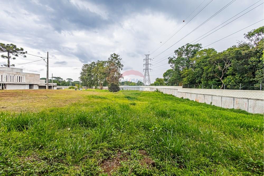 Terreno - Venda - Curitiba , Paraná - sheep - IMG_2571_1.jpg - 560341101-21