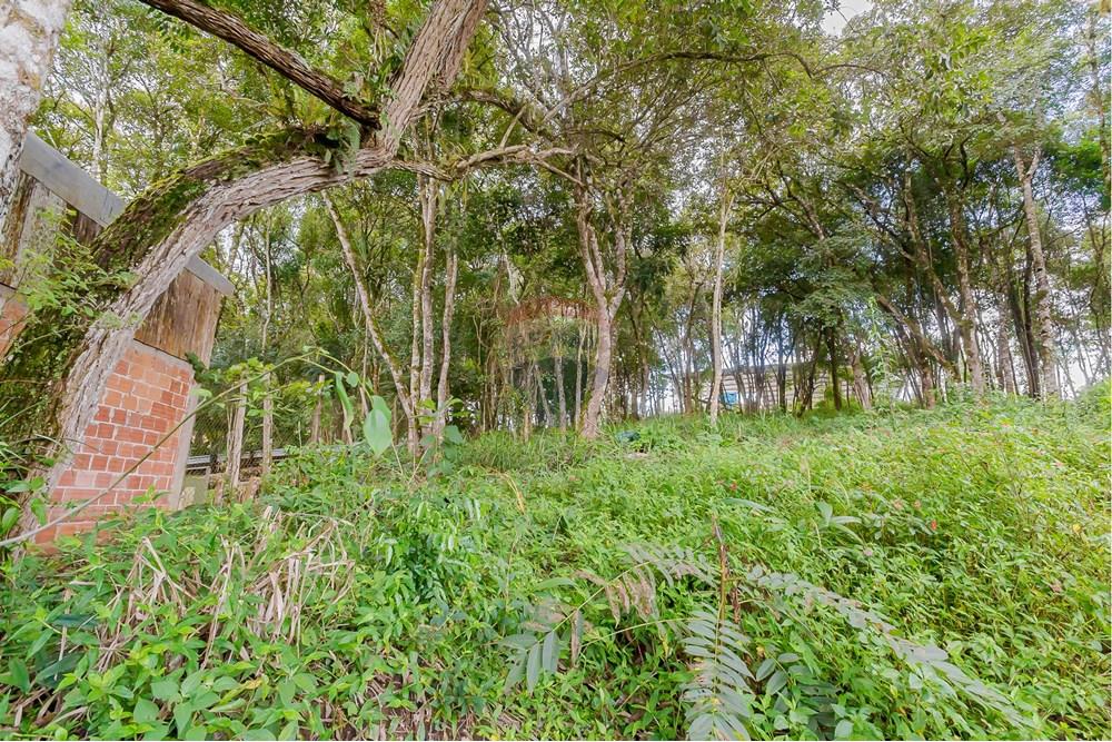 Terreno - Venda - Colombo , Paraná - _MG_7371.jpg - 560391062-13