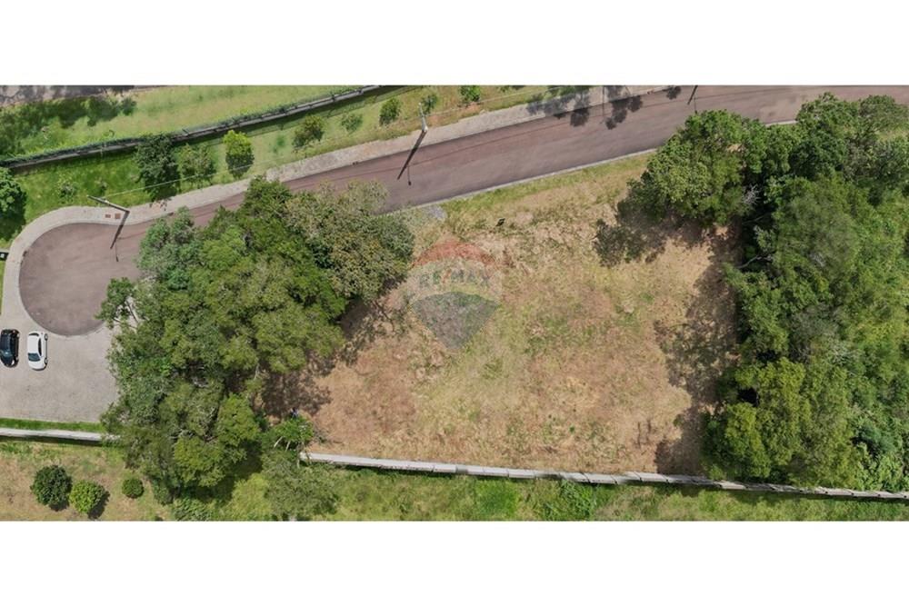 Terreno - Venda - Curitiba , Paraná - FOTO 17.jpg - 560341101-20