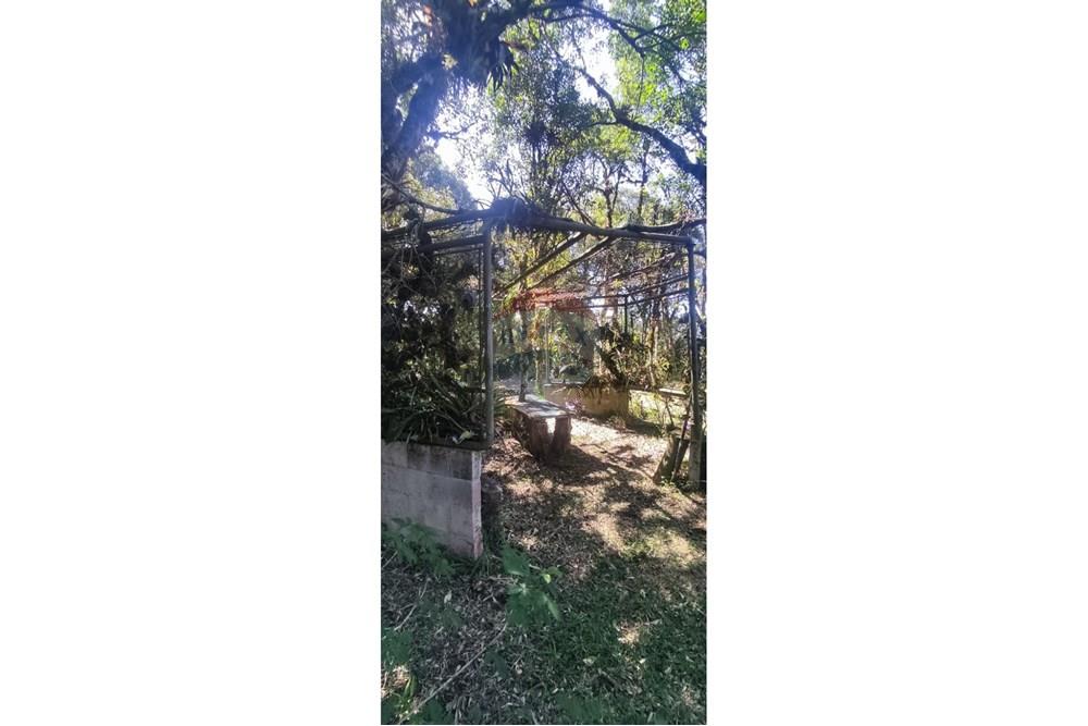 Chácara / Sítio / Fazenda - Venda - São José dos Pinhais , Paraná - 28.jpeg - 560331080-8
