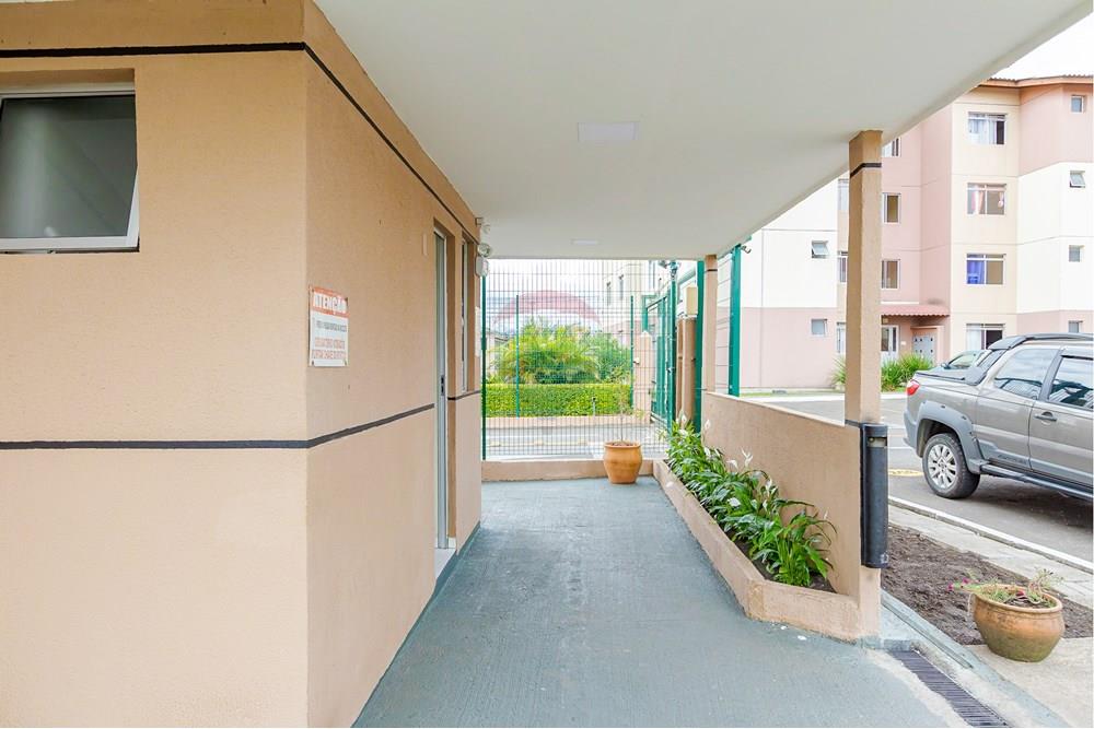 Apartamento - Venda - São José dos Pinhais , Paraná - IMG_2424.jpg - 560411027-30