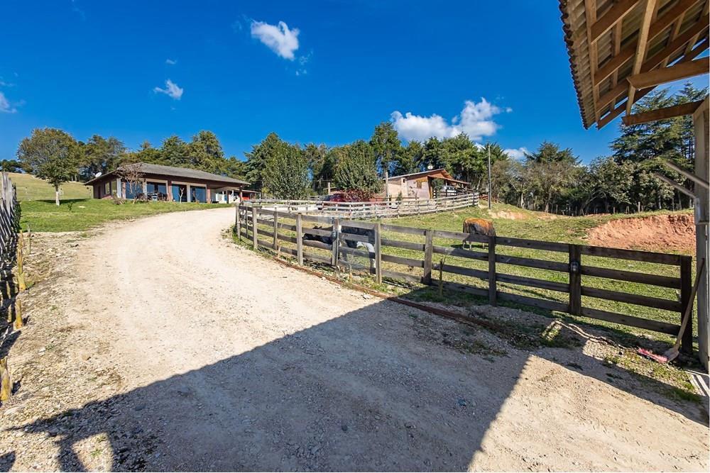 Chácara / Sítio / Fazenda - Venda - Campo Largo , Paraná - F (7).jpg - 560351150-1