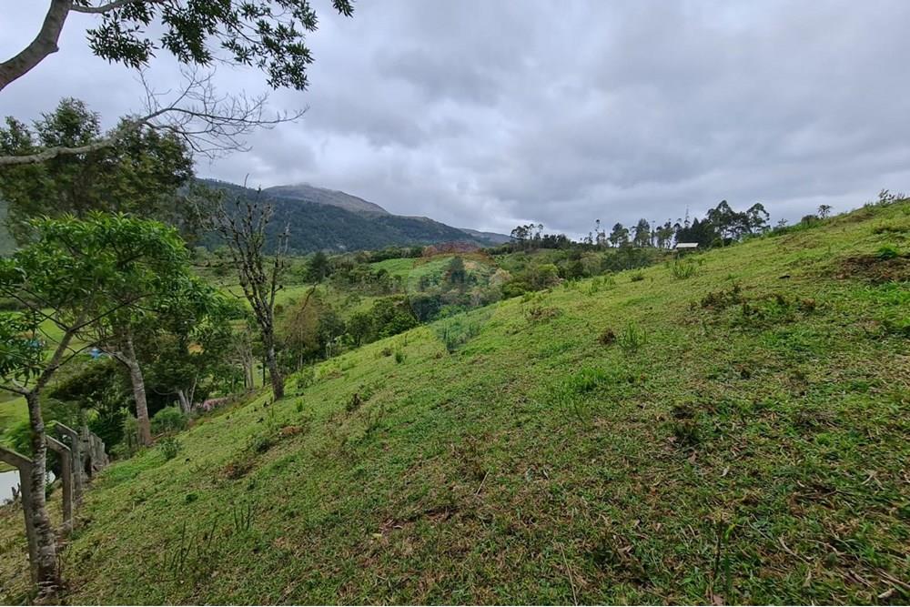 Chácara / Sítio / Fazenda - Venda - Tijucas do Sul , Paraná - 9e5acb69-ca25-4ebb-919f-6dedb7e3e6e5.jpeg - 560391051-16