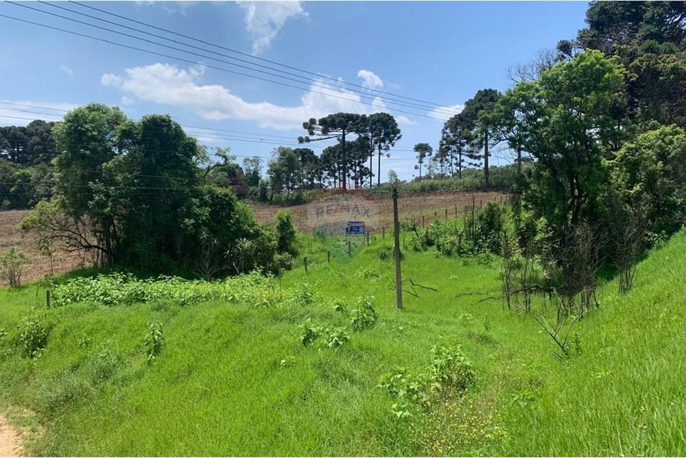 Terreno - Venda - Almirante Tamandaré , Paraná - 12.jpeg - 560461019-14