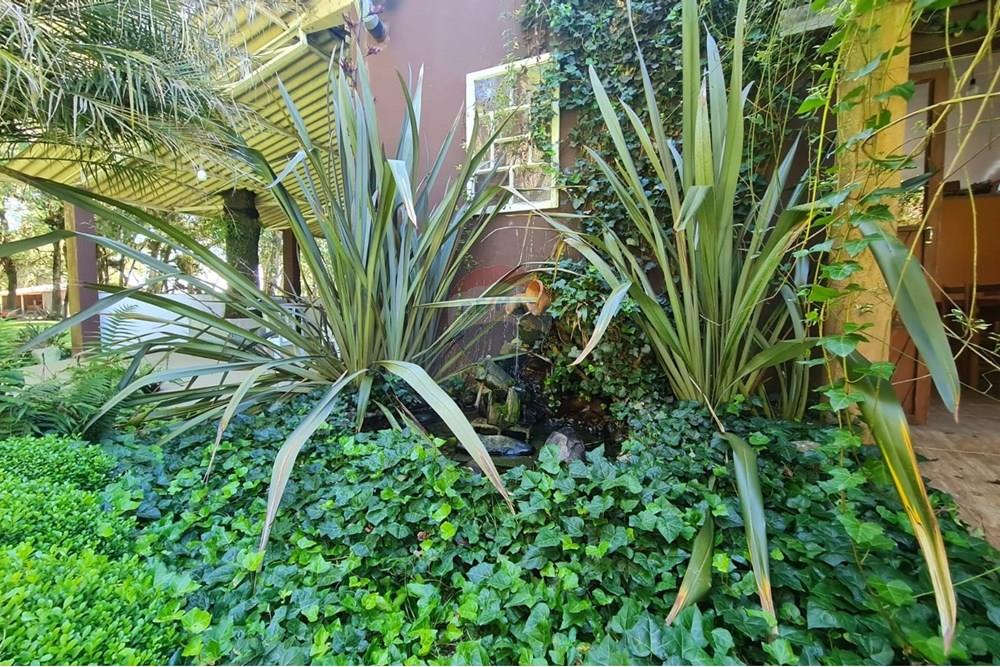 Casa Comercial - Alugar - São José dos Pinhais , Paraná - ac184669-c95e-4de9-a622-7bcc956729c1.jpeg - 560331128-18