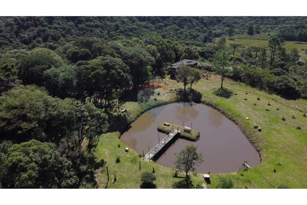 Chácara / Sítio / Fazenda - Venda - São José dos Pinhais , Paraná - 70.jpeg - 560331080-8