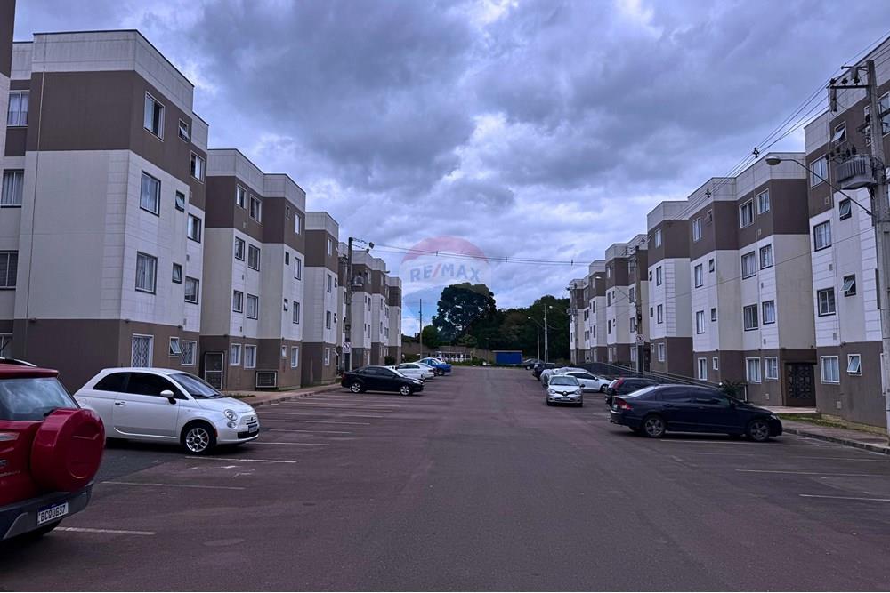 Apartamento - Venda - Campo Largo , Paraná - 1.jpg - 560341080-243