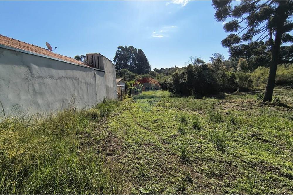 Terreno - Venda - Campo Largo , Paraná - WhatsApp Image 2025-10-06 at 22.00.40.jpeg - 560351155-5