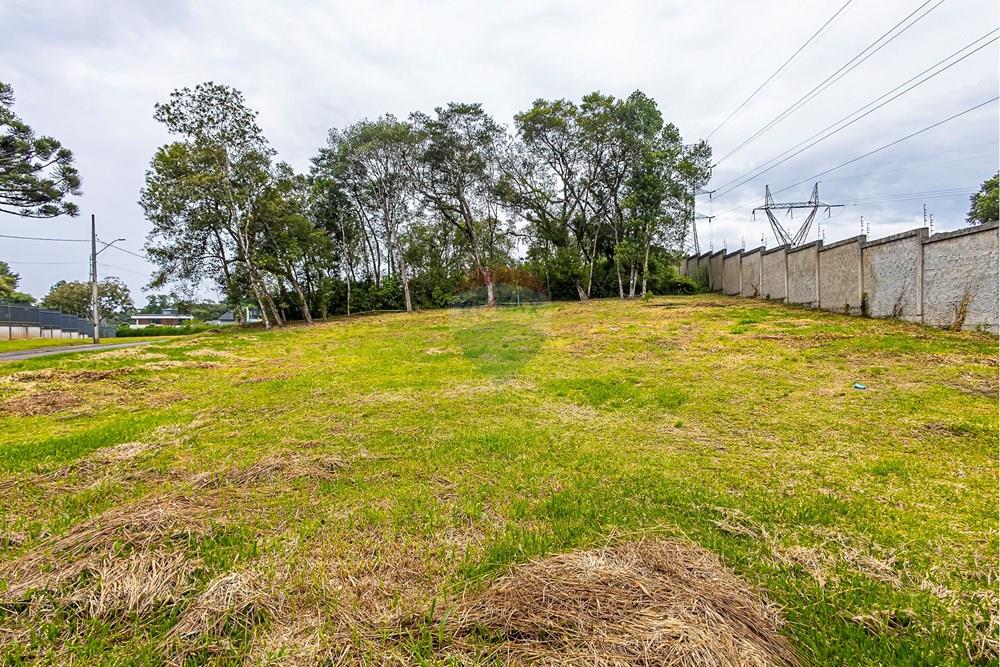 Terreno - Venda - Curitiba , Paraná - SHEEP - IMG_2552_1.jpg - 560341101-20